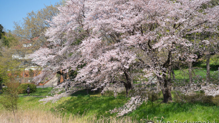 NAS停止＆早ければ今日中に復帰しますのお知らせ