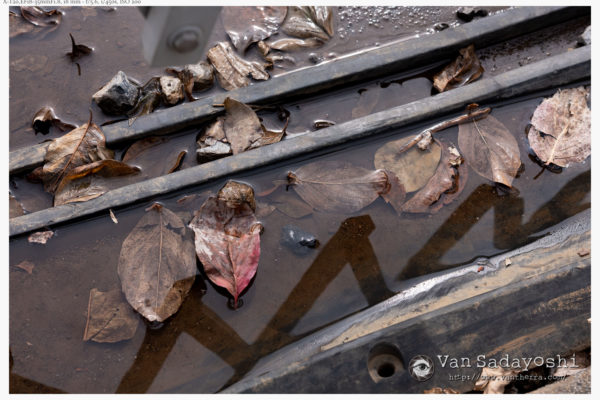 なぜ写真で65mmフィルムを使わないのか