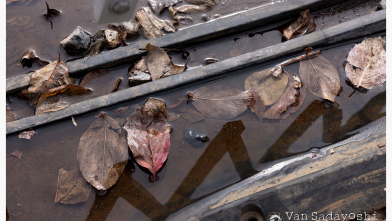 なぜ写真で65mmフィルムを使わないのか