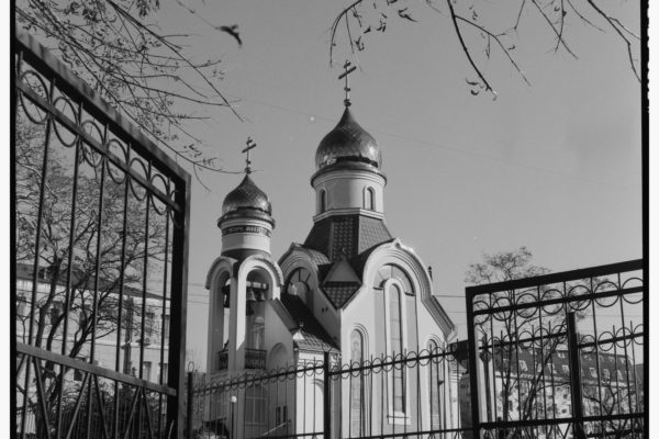 旅行ガイドとエッセイの違いみたいなもの