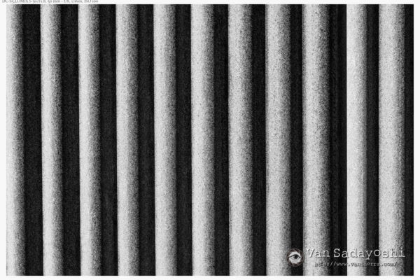 写真の実用性と美