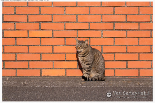 人為的な加工は基本ダサいです