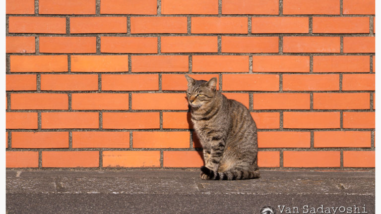 人為的な加工は基本ダサいです
