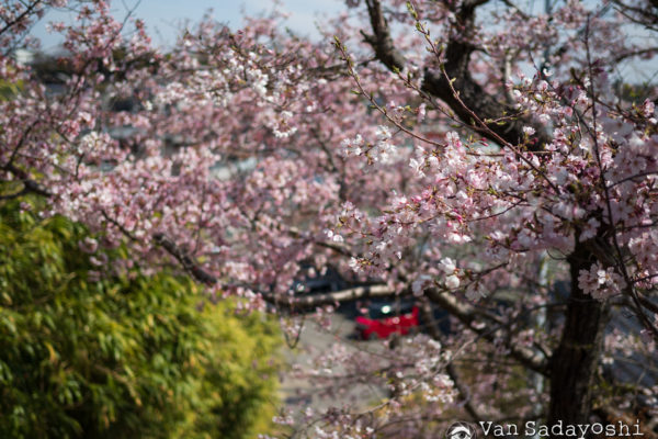 奥に目立つ色のものがある時に彩度下げちゃうとどうか