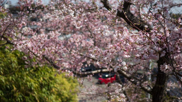 奥に目立つ色のものがある時に彩度下げちゃうとどうか