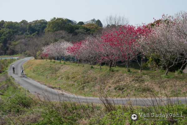 珍しいものが撮りたいが人がいない所が良い