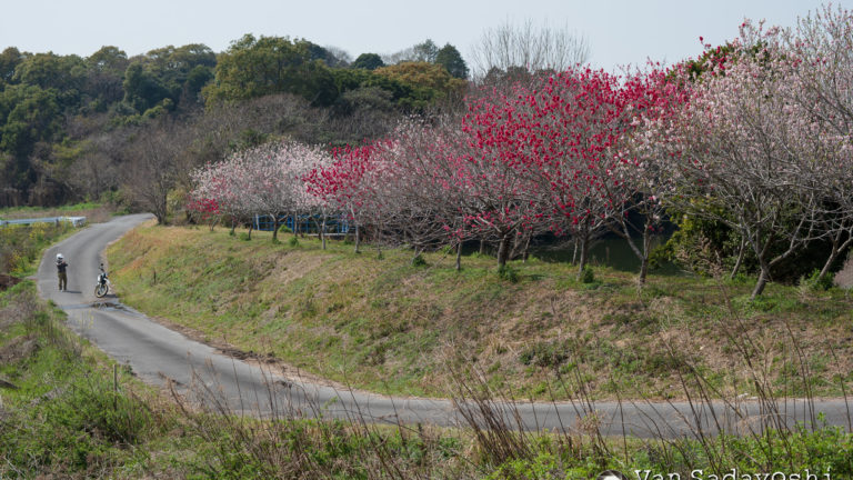 珍しいものが撮りたいが人がいない所が良い