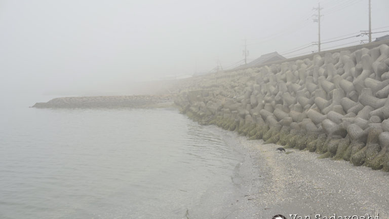 霧ってあんがい濃淡が見えるんだな