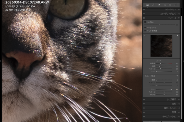ぎっしょぎしょの偽色問題