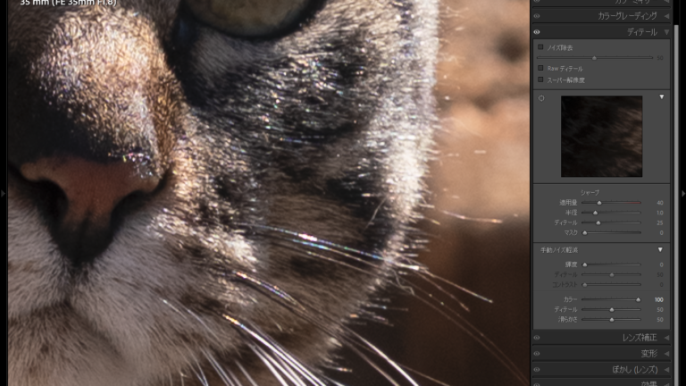 ぎっしょぎしょの偽色問題