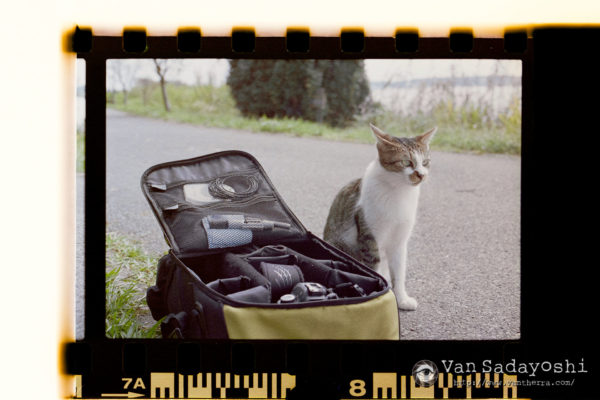 KODAK H35N良いなあ