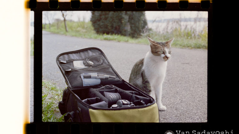 KODAK H35N良いなあ